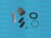 AUTOFREN SEINSA D41169C Repair Kit, brake caliper